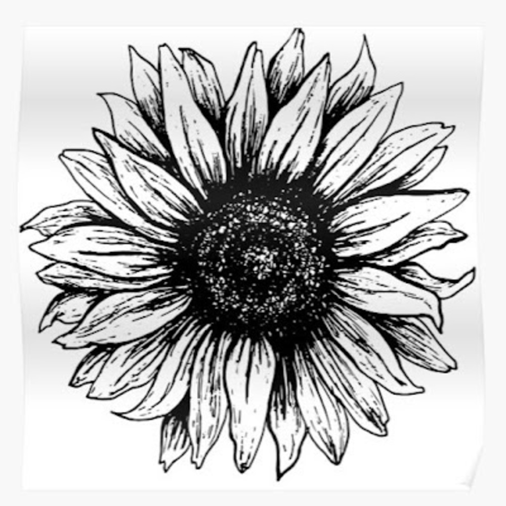 Meet your Posher, Gray sunflowers